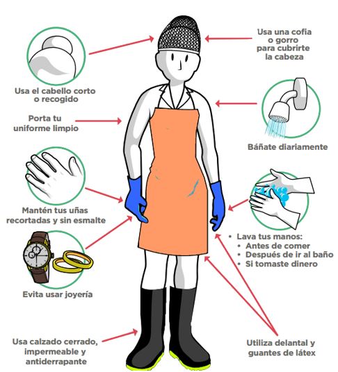 Seguridad e Higiene