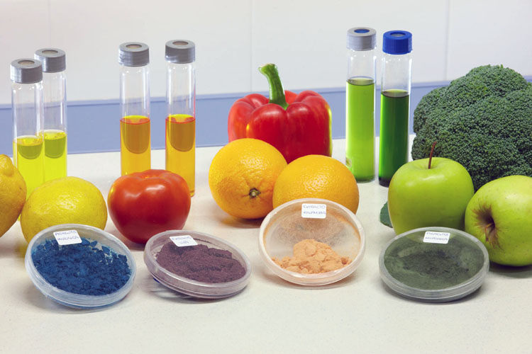 Química de los Alimentos