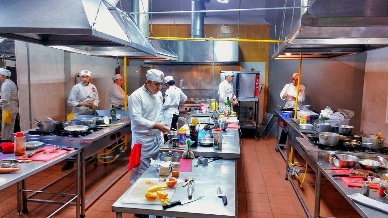 Bases Culinarias II